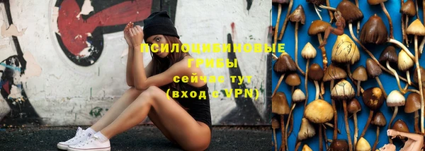 гидропоника Киреевск