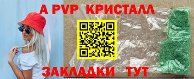 гидра Нальчик