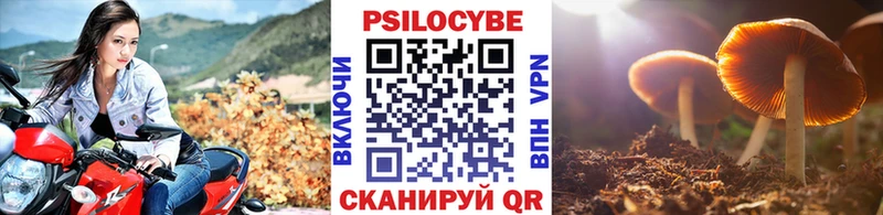 Псилоцибиновые грибы Psilocybe  закладки  Кондопога 